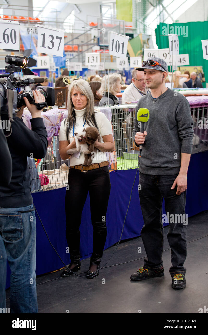 TV interview with a breeder on the WCF World Show on March 13, 2011 in Warsaw, Poland Stock Photo