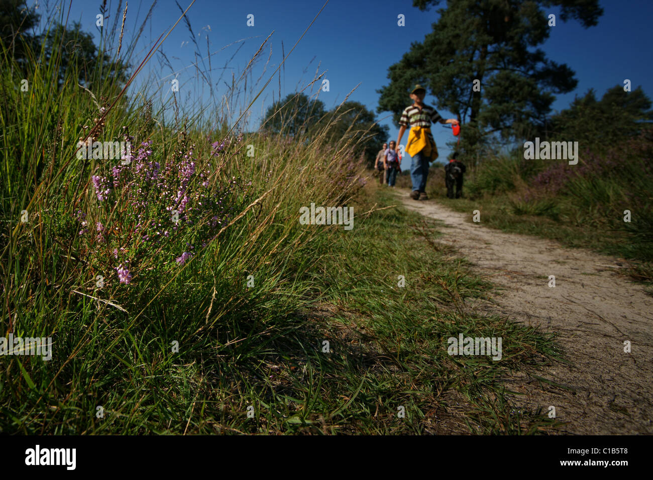 a child and a dog hiking in a moorland Stock Photo