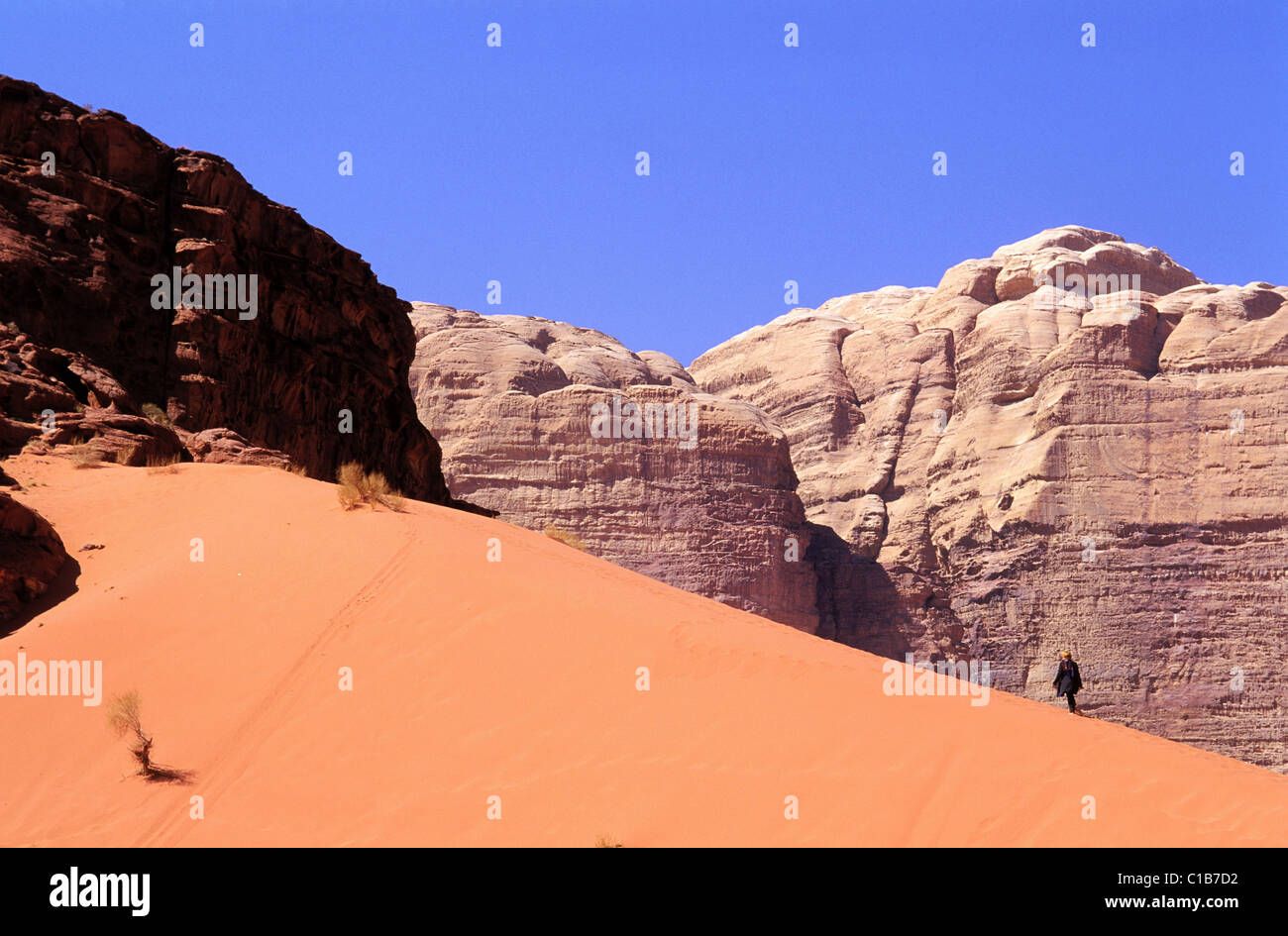 Jordan, Wadi Rum, tourist discovering the sensations of the desert on a dune of red sand Stock Photo