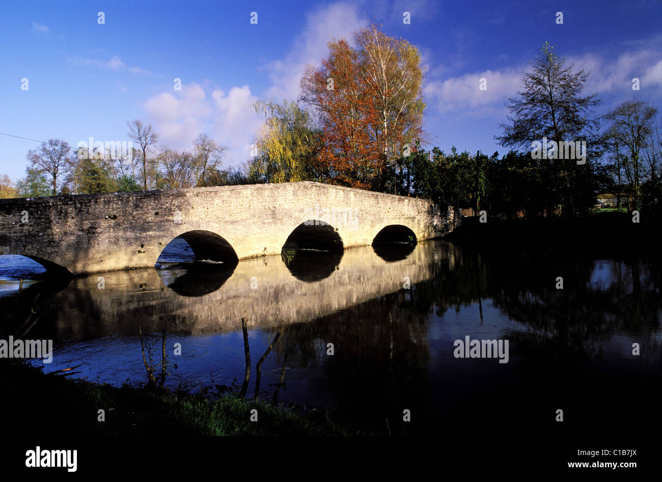France, Charentes, bridge over a Charente river's arm Stock Photo