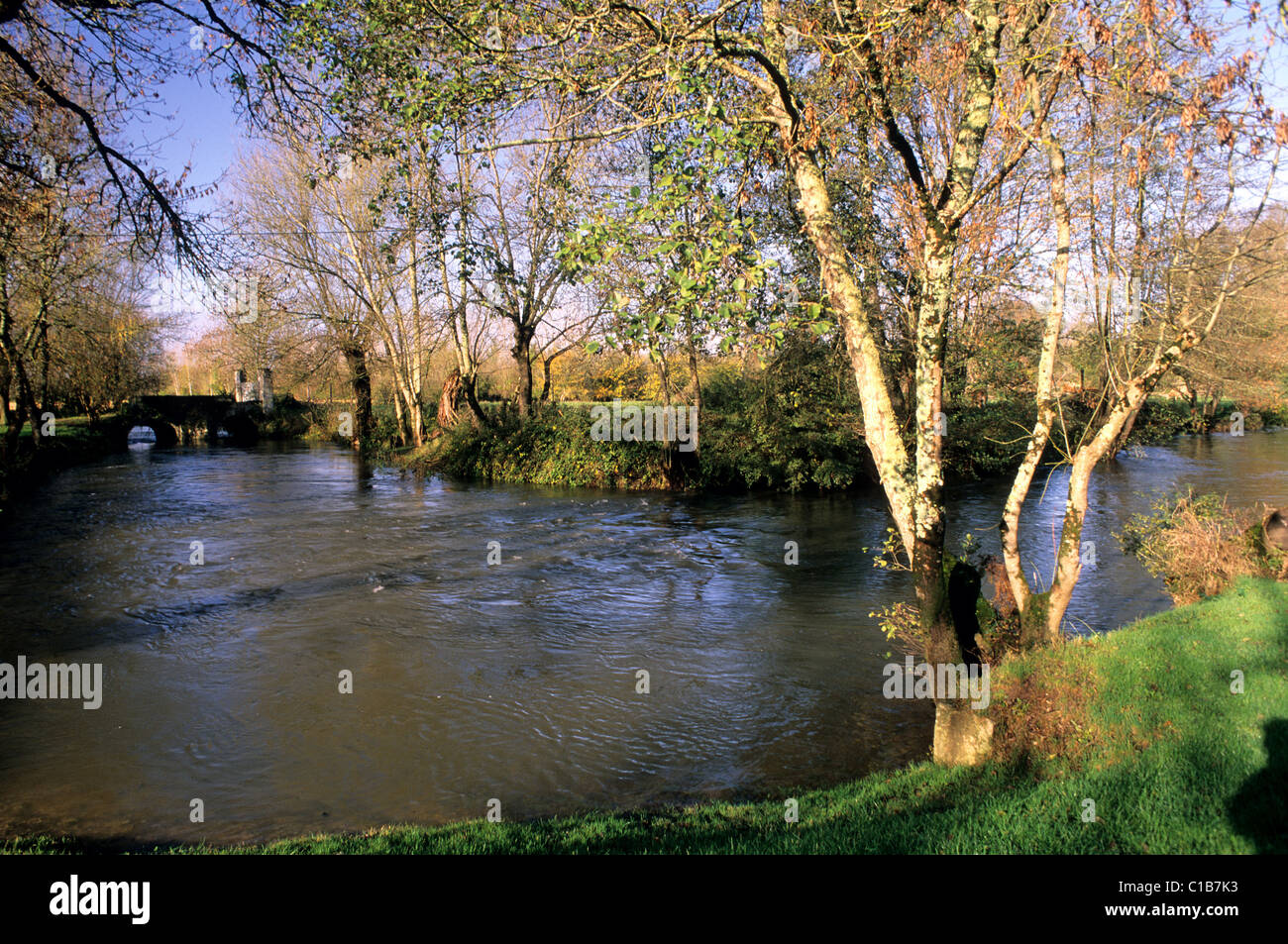 France, Charente, brigde over a Charente river's arm Stock Photo