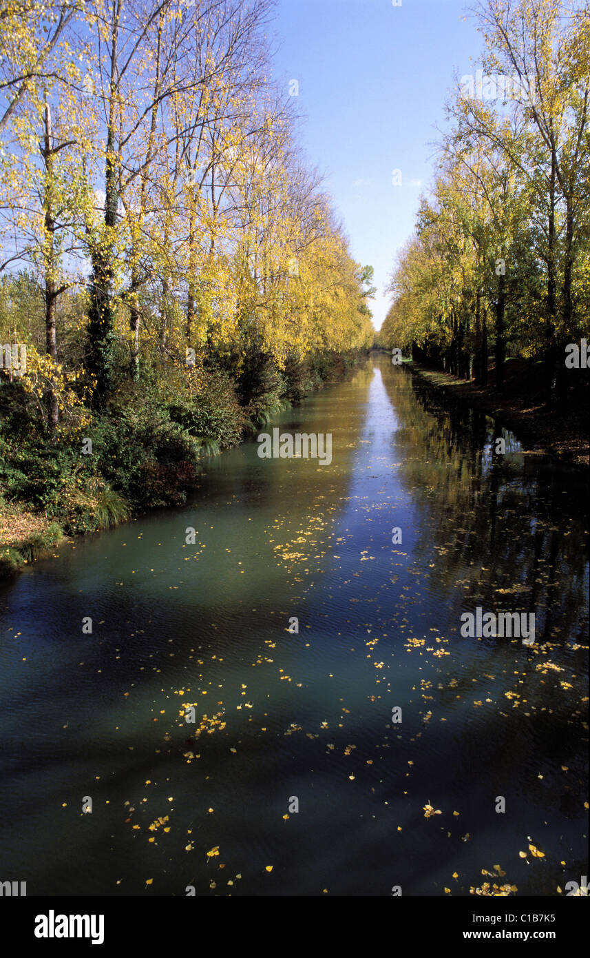 France, Lot et Garonne, literal canal in autumn Stock Photo