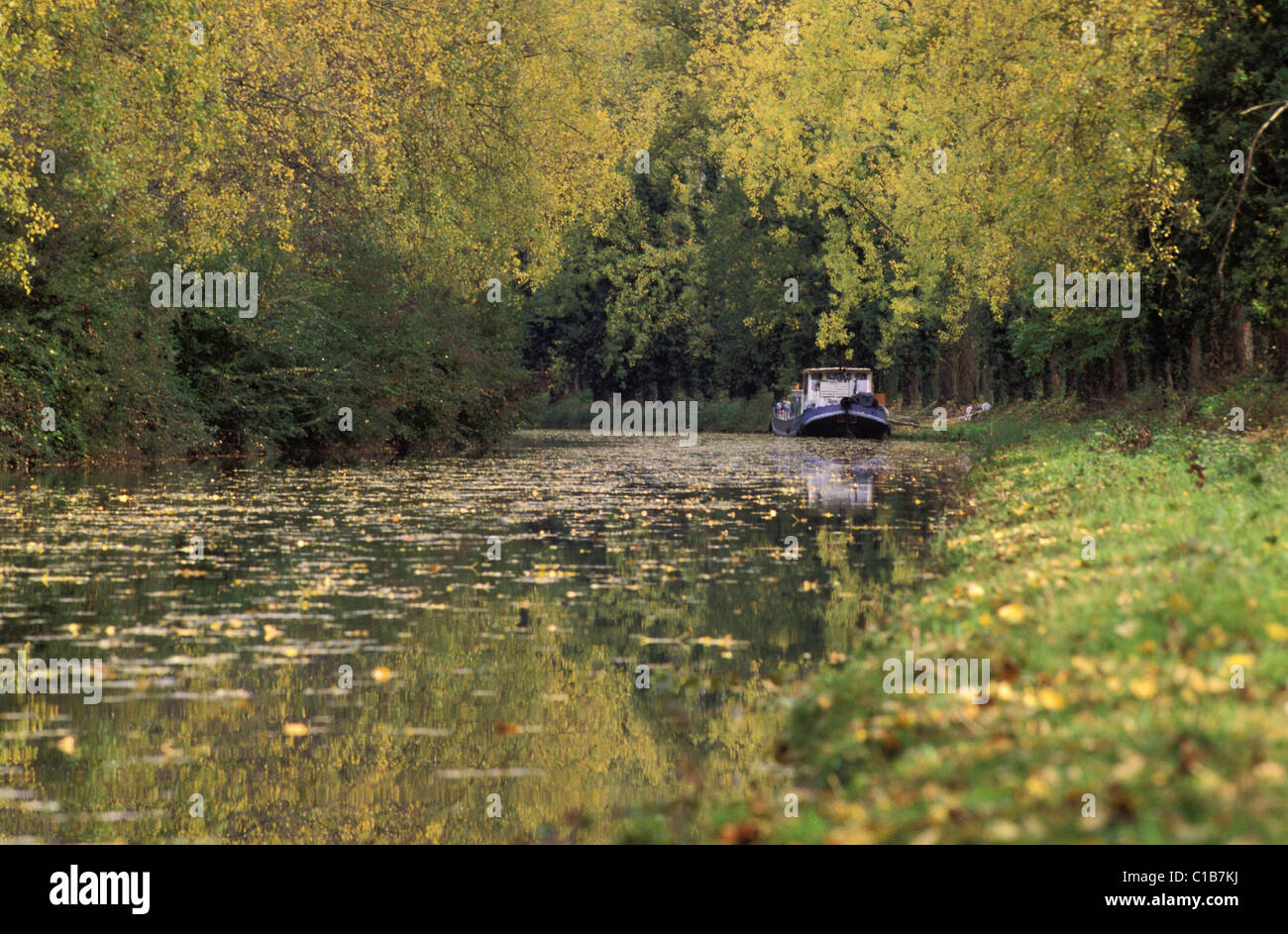 France, Lot et Garonne, literal canal in autumn Stock Photo