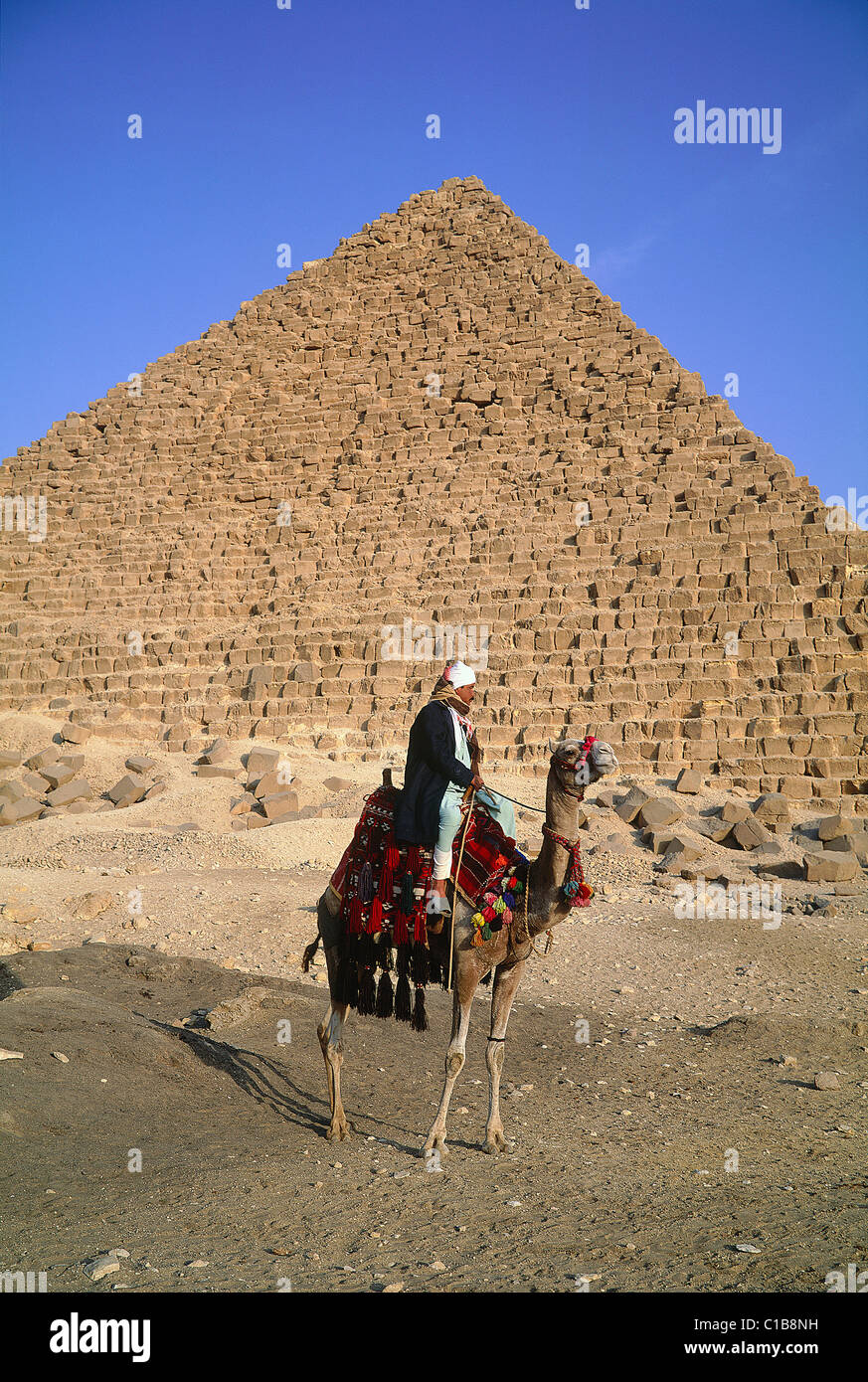 Egypt, Cairo, Giza, camel driver at Keops pyramid foot Stock Photo