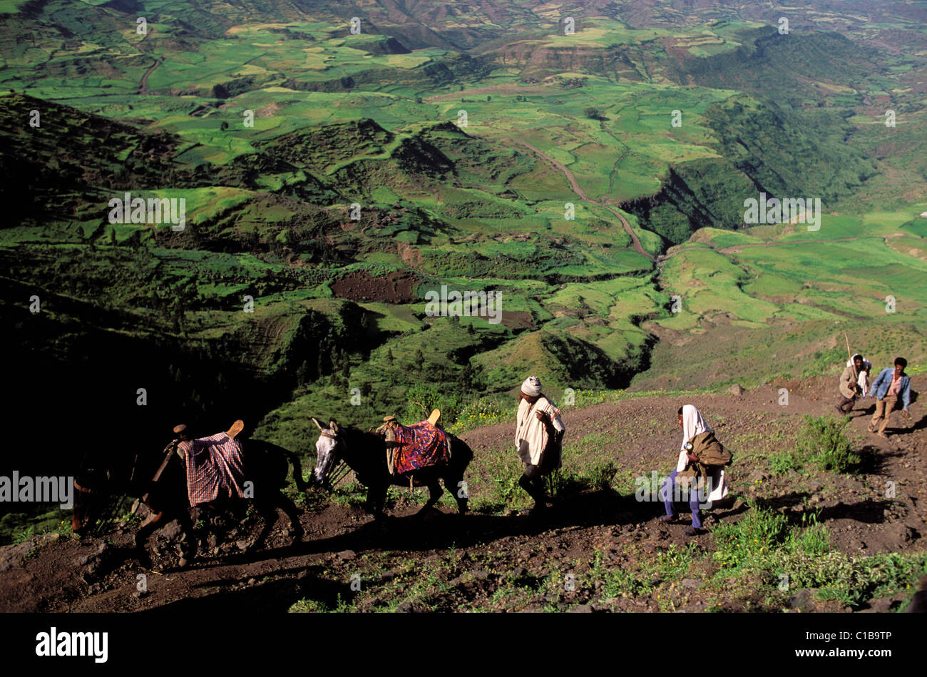 Ethiopia Pet Stock Photos & Ethiopia Pet Stock Images Alamy