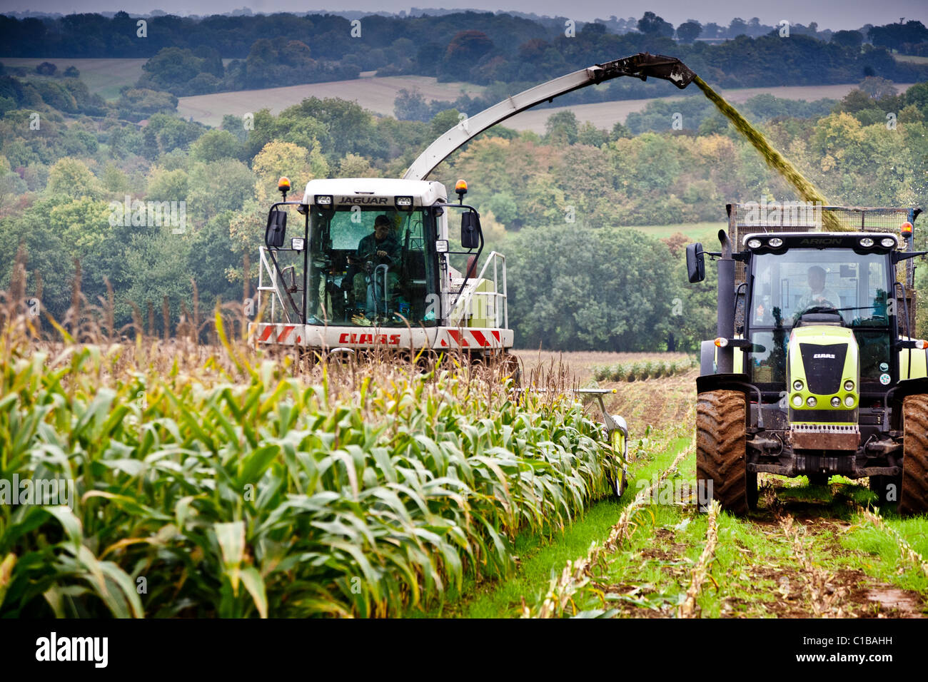 Maize harvester sale