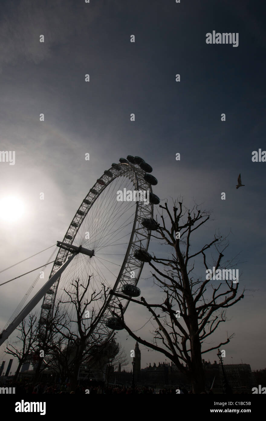 London eye with bird flying past Stock Photo