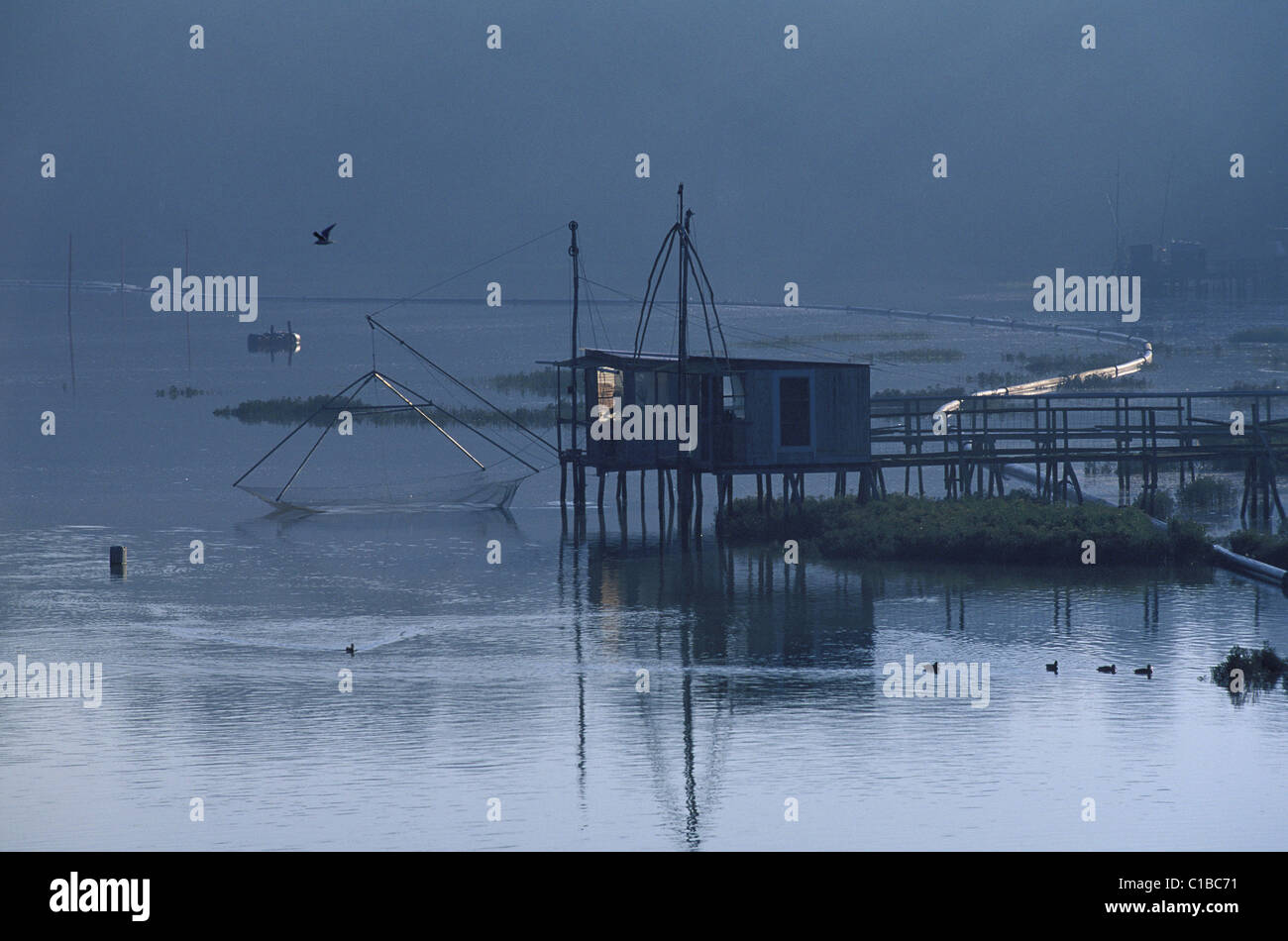 France, Cotes d'Armor, square dipping net Stock Photo