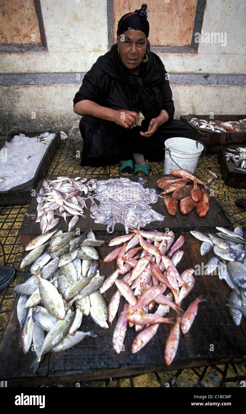 Egypt, Alexandria, souks, fish market Stock Photo Alamy