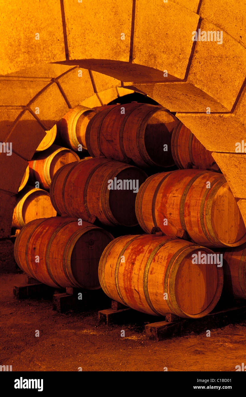 France, Gers, Maumusson Laguian, wine cellar of the hugest wine store