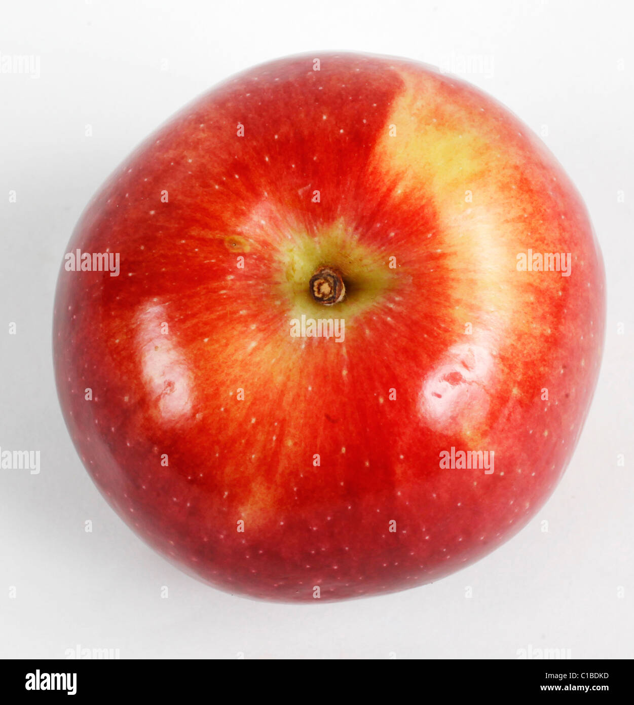 bestmetadata viewer for mac bestmetadata viewer for mac