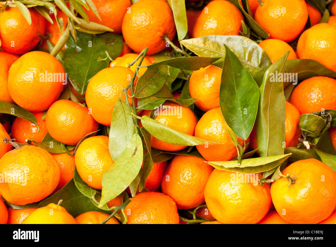 Satsumas christmas hires stock photography and images Alamy