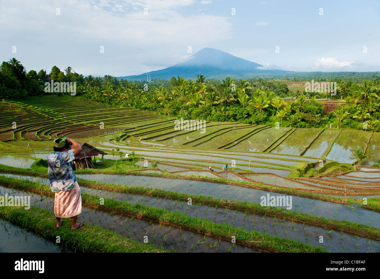 Terrace village flooded paddy farm hi-res stock photography and images ...