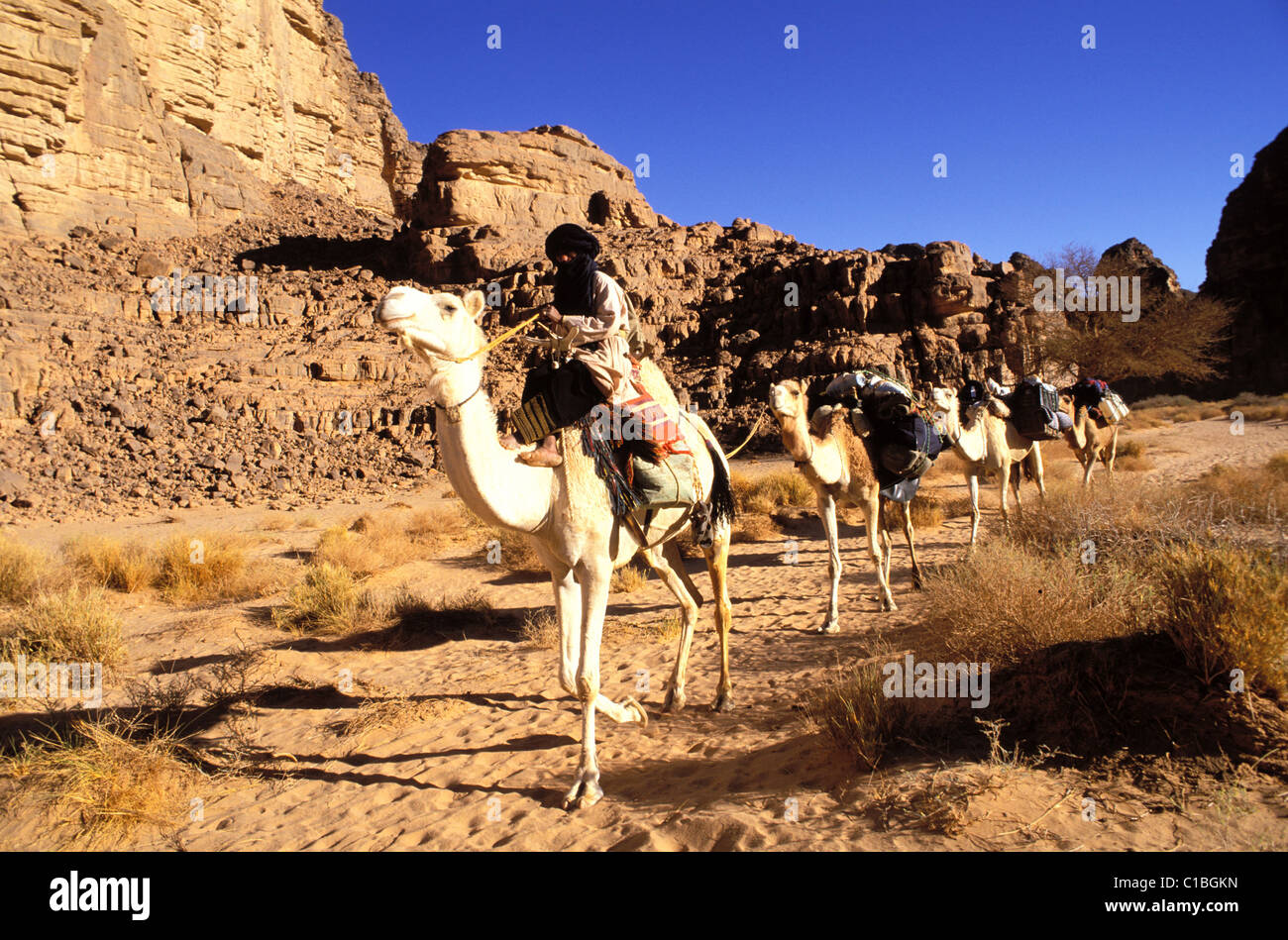 Algeria, Sahara, camel trek to Essendilene in the Tassili N’Ajjer Stock ...