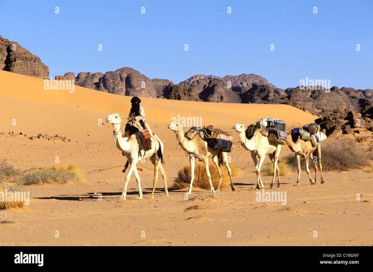 Algeria, Sahara, camel trek to Essendilene in the Tassili N’Ajjer Stock ...
