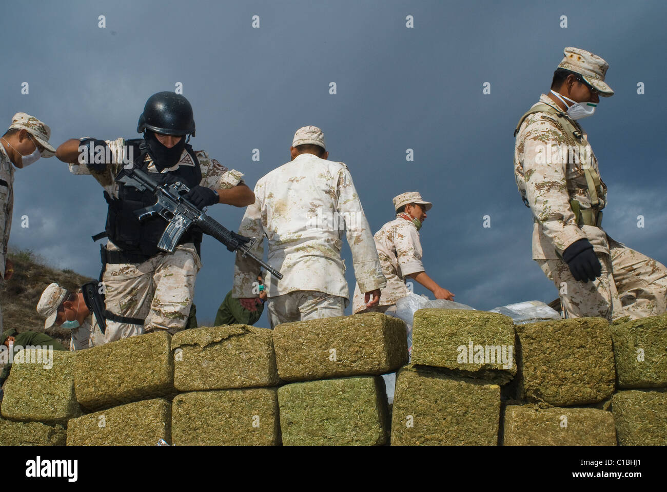The largest seizure of marijuana in Mexican history and its burn took place in Tijuana, Baja California on October 18, 2010. Stock Photo