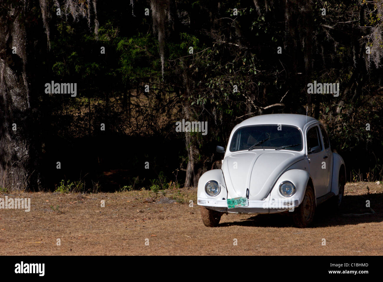 VW beetle car bug Mexico Stock Photo Alamy