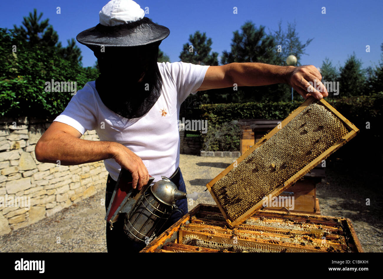 France, Paris, beekeeper at Brassens public garden Stock Photo