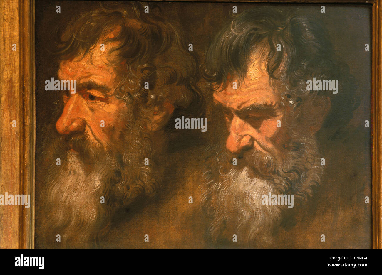 Belgium, Antwerp, Rockox house (17th century), study of the famous