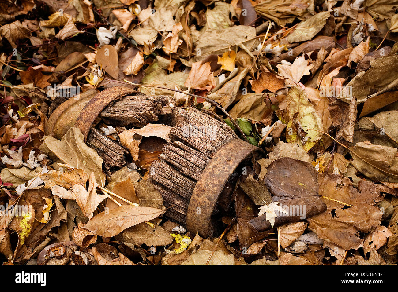 Small, broken barrel buried in Fall leaves. Stock Photo