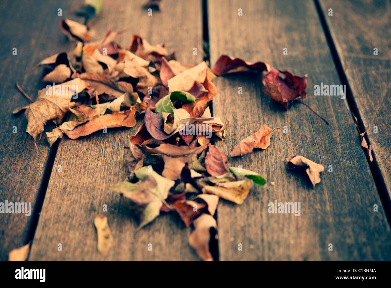 DRY LEAF LEAVES WOODEN FLOOR AUTUMN FALL ESSENCE OUTSIDE Stock Photo
