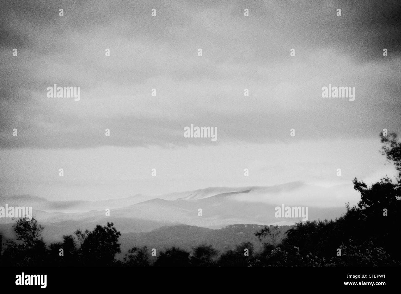 BLUE RIDGE MOUNTAINS NORTH CAROLINA NC APPALACHIAN MOUNTAINS APPALACHIA RIDGES RIDGELINE FOG FOGGY MISTY CLOUDS FOREST VIEW LAND Stock Photo