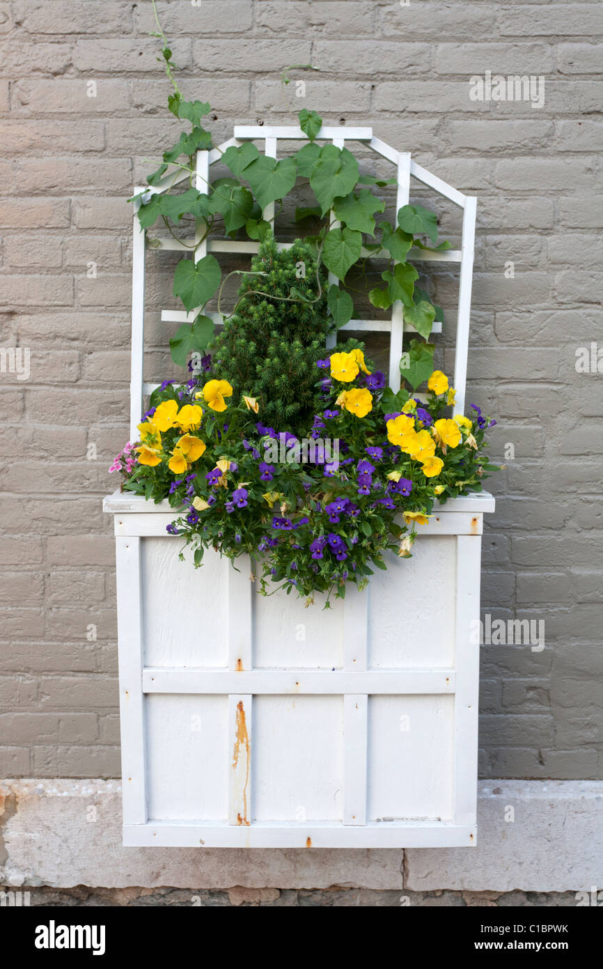 Flower planter on wall. Stock Photo