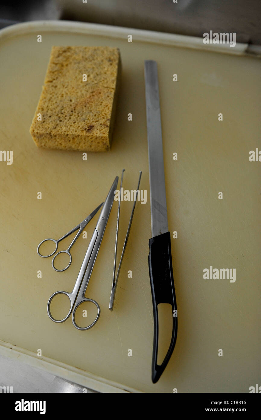 Autopsy Tools