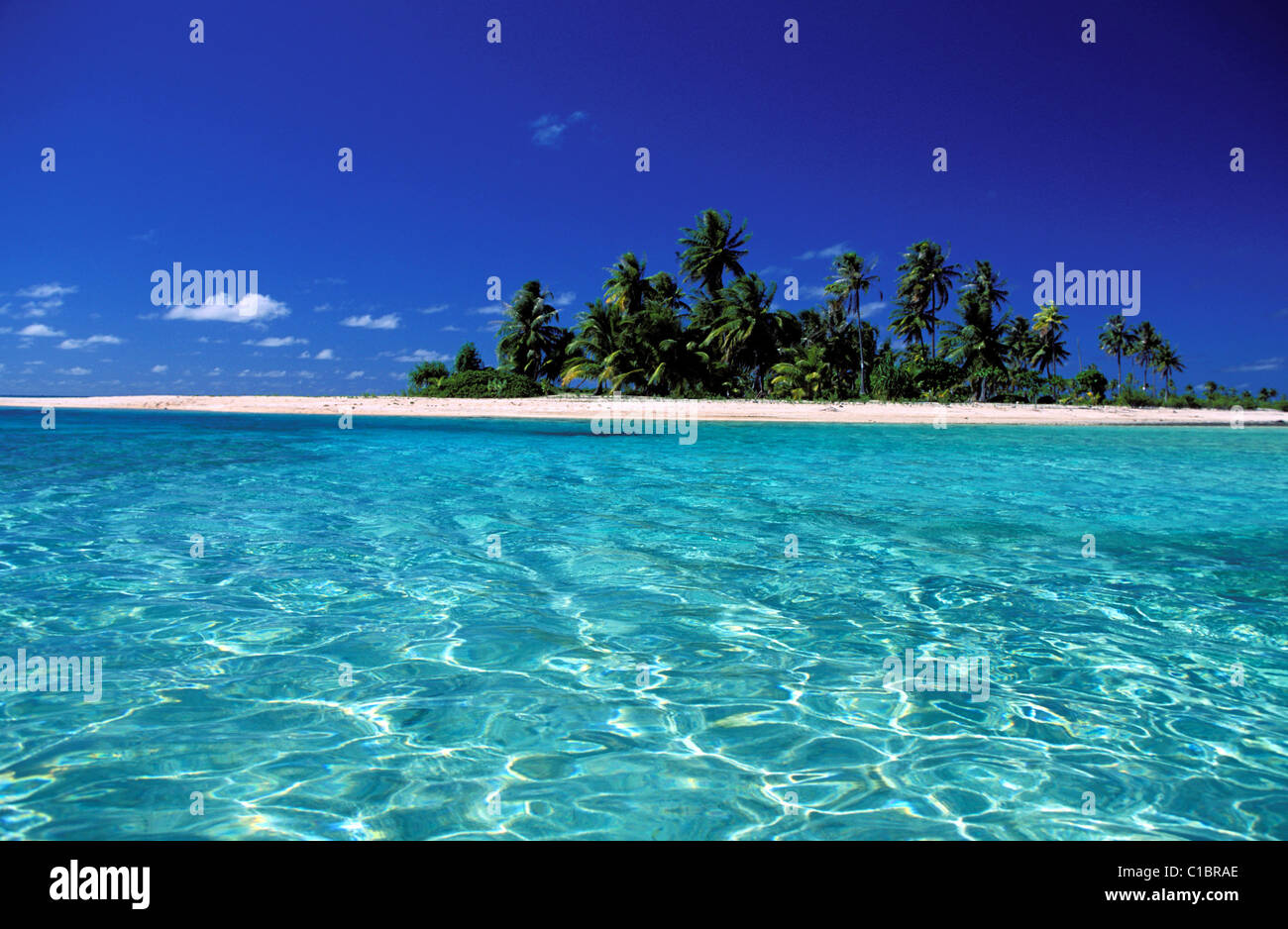 France, French Polynesia, the Island of Tikehau (the Tuamotu Islands) Stock Photo