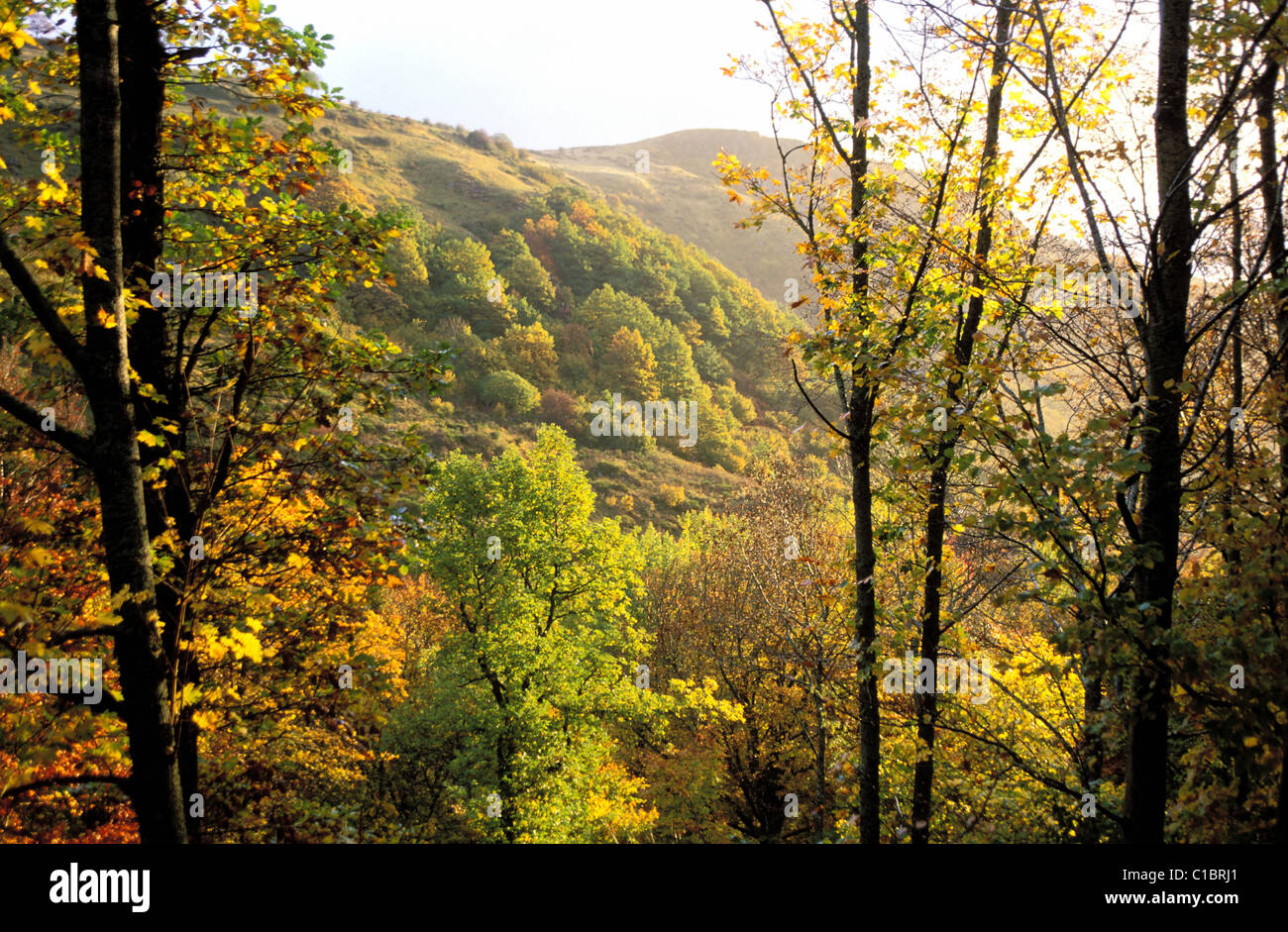 France, Puy de Dome, the plateau of Cezallier the autumn in Mazoires Stock Photo