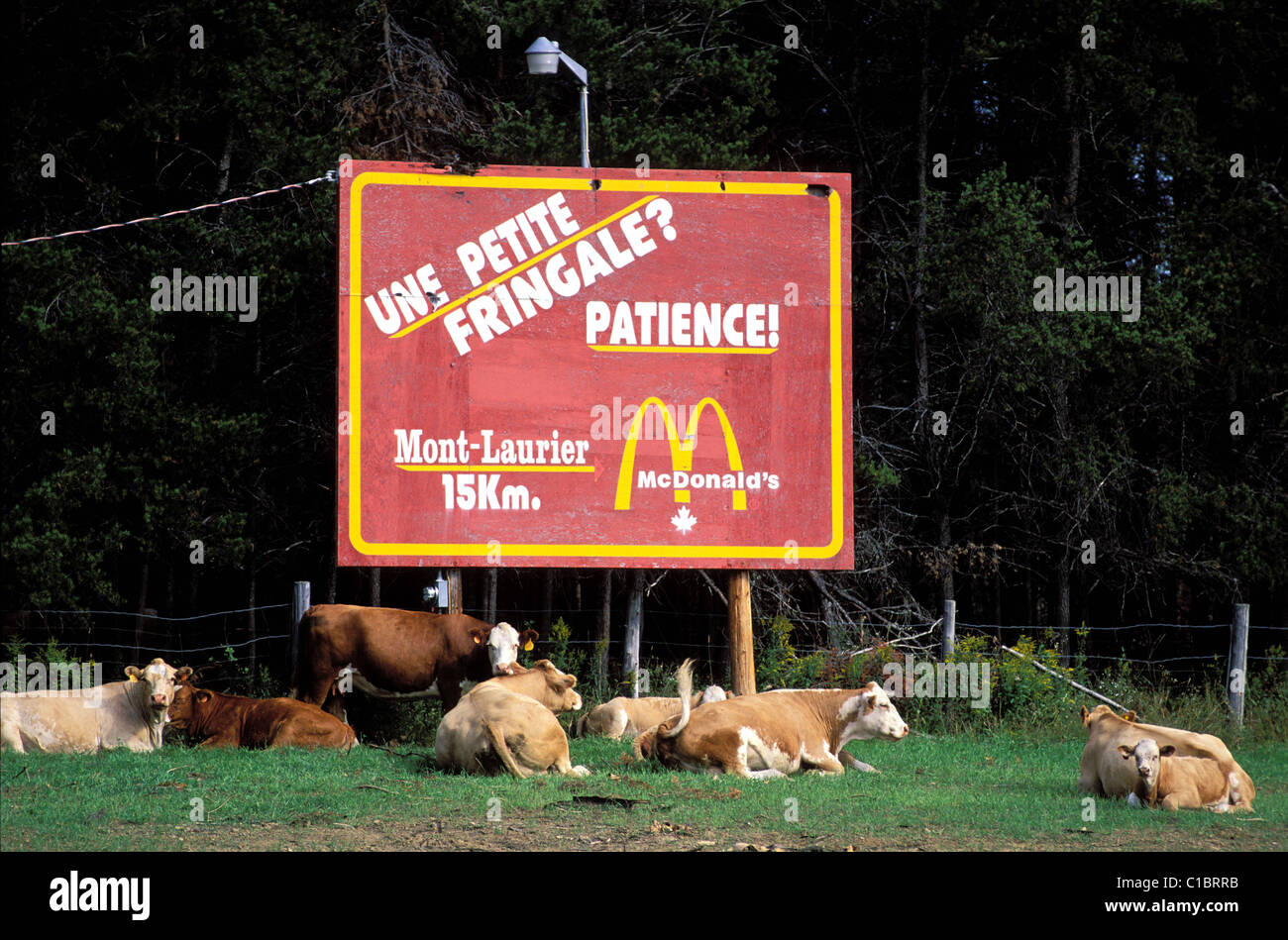 MCDONALD'S - 1872 Avenue Industrielle, Val-Bélair, Quebec, Canada