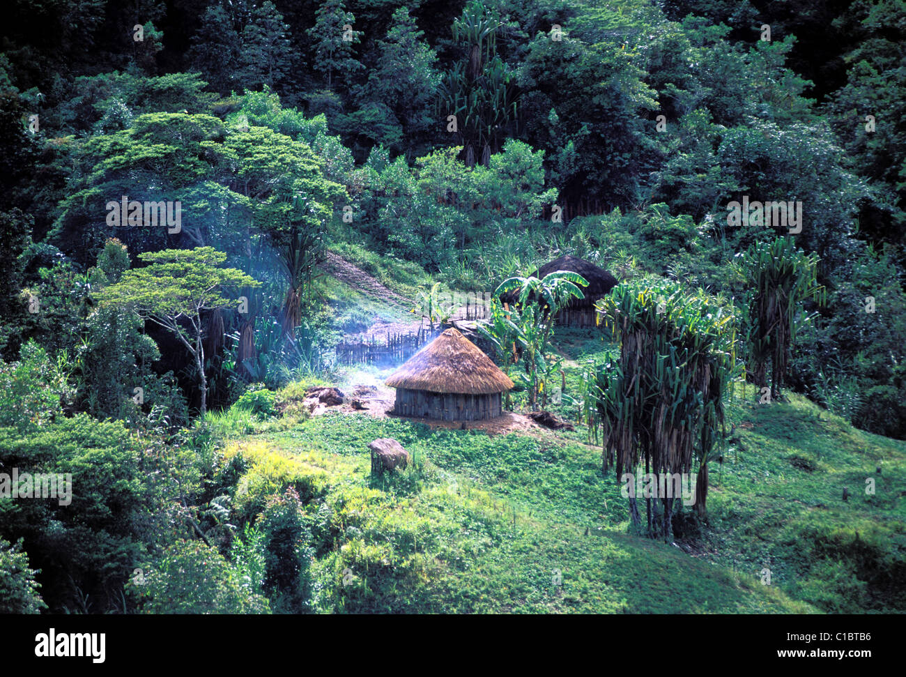 Indonesia, Papua, Irian Jaya, Baliem valley, Wamena area Stock Photo