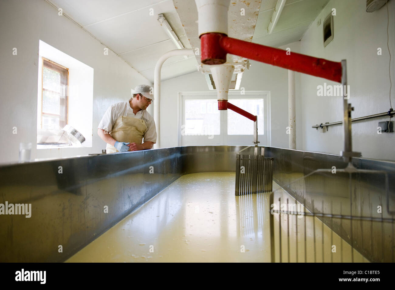 Cheddar cheese making, Montgomery Cheddar, Manor Farm, Yeovil, Somerset