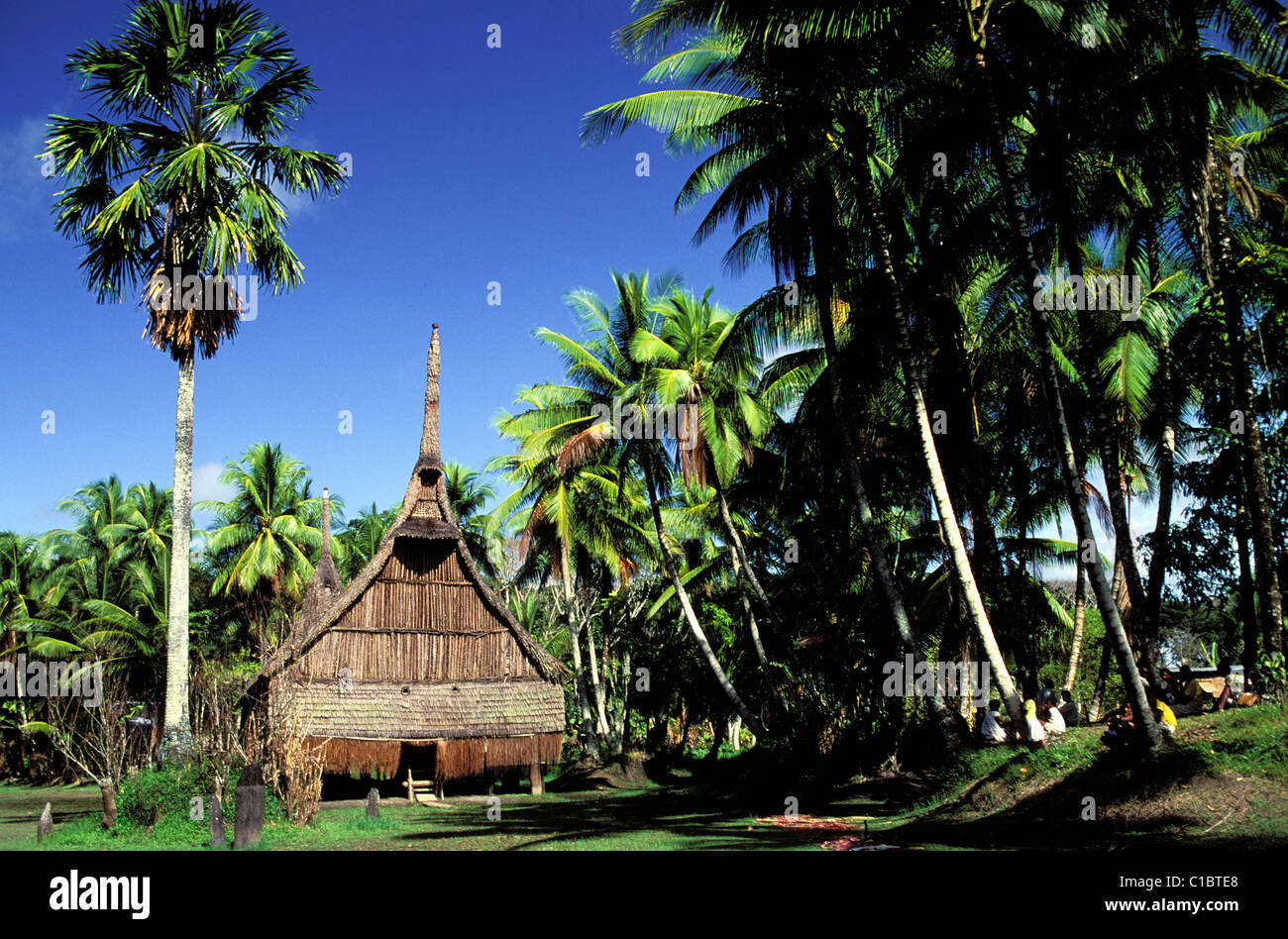Papua New Guinea Tree House Stock Photos & Papua New Guinea Tree House ...