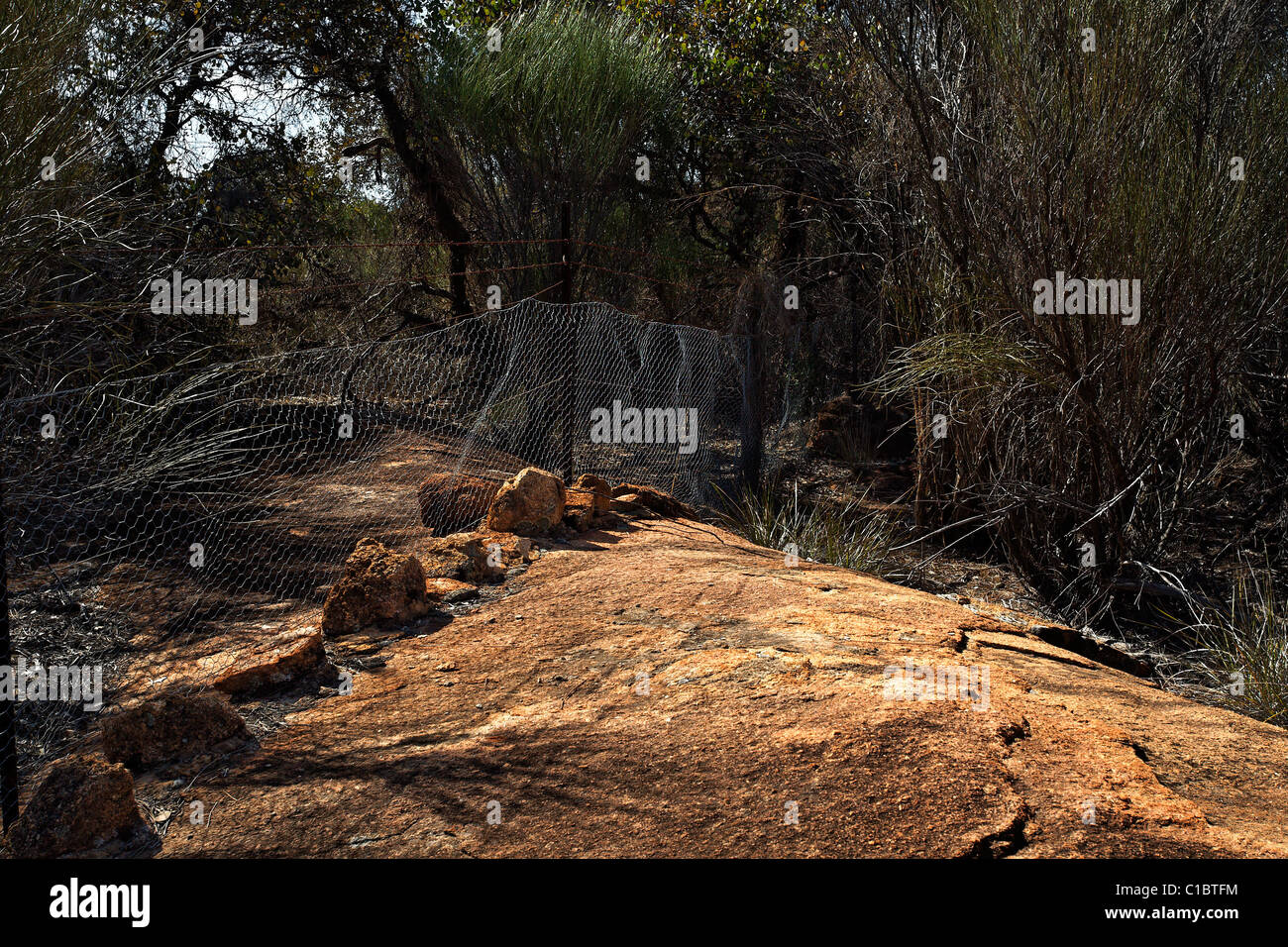 Rabbit proof fence hires stock photography and images Alamy