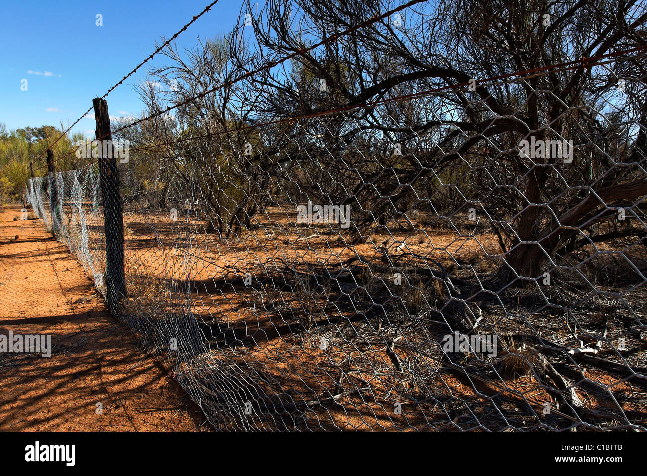 Rabbit proof fence hires stock photography and images Alamy