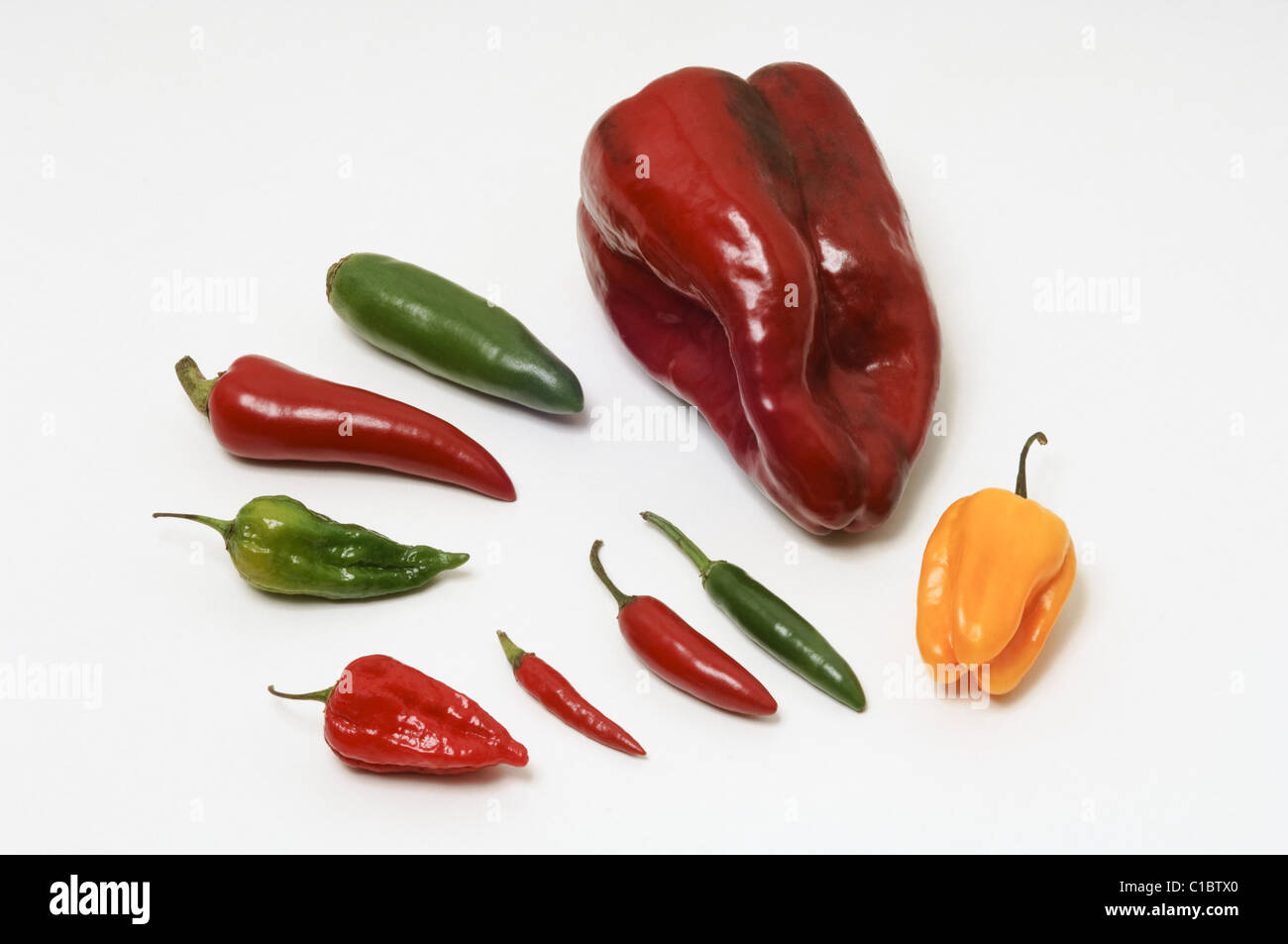 Selection of chilli varieties on a white background - Poblano, Habanero, Serrano, Bird's Eye, Dorset Naga, and Jalapeno. Stock Photo