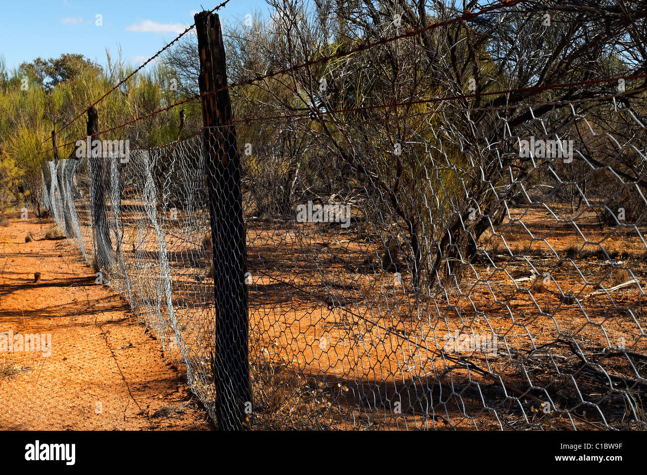 Rabbit proof fence hires stock photography and images Alamy