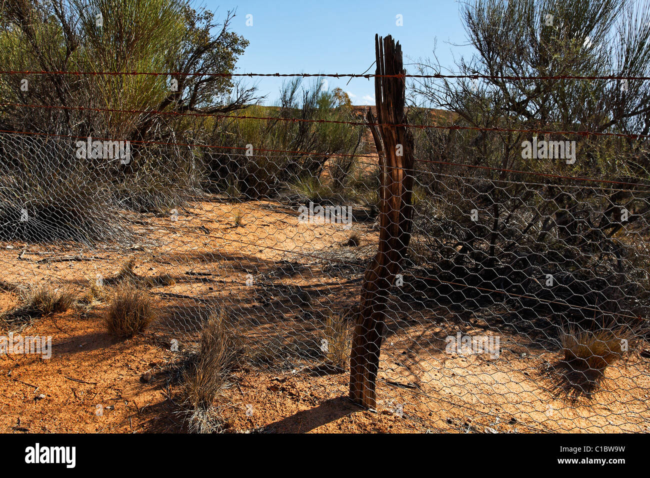 Rabbit proof fence hires stock photography and images Alamy