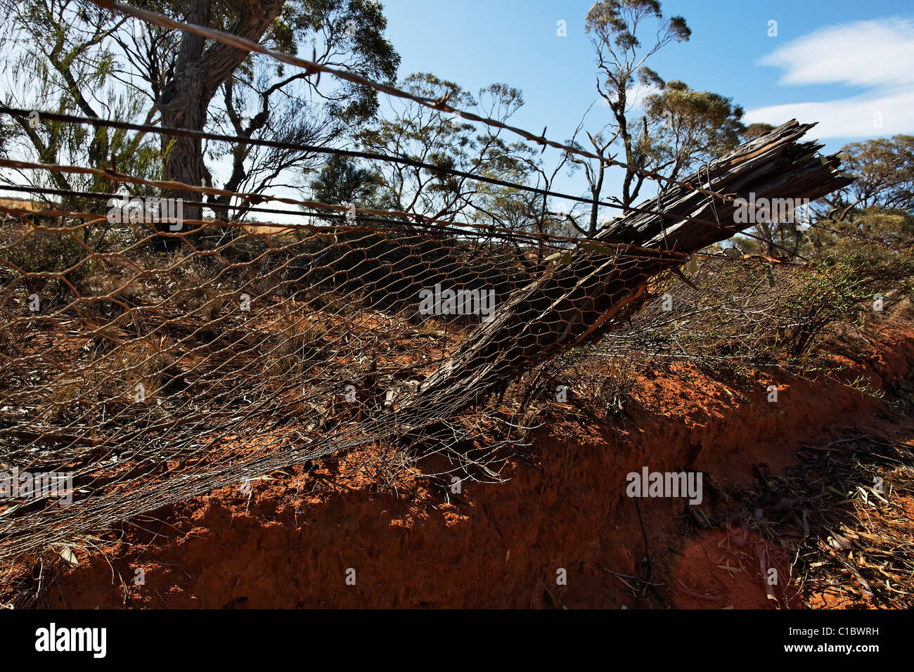 Rabbit Proof Fence, North East Western Australia Stock Photo Alamy