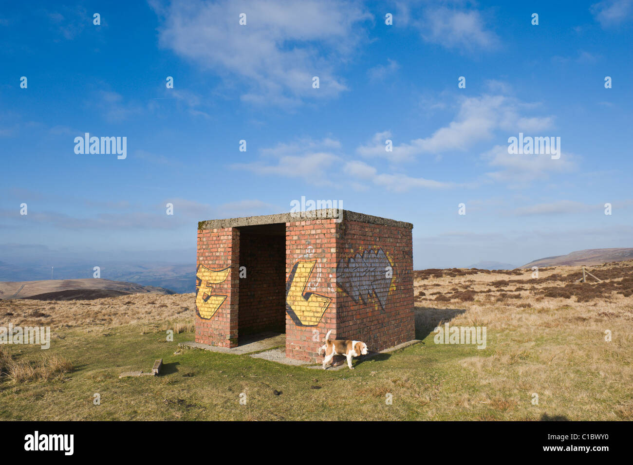 Industrial buildings on Canada Tips WW2 opencast workings mining coal