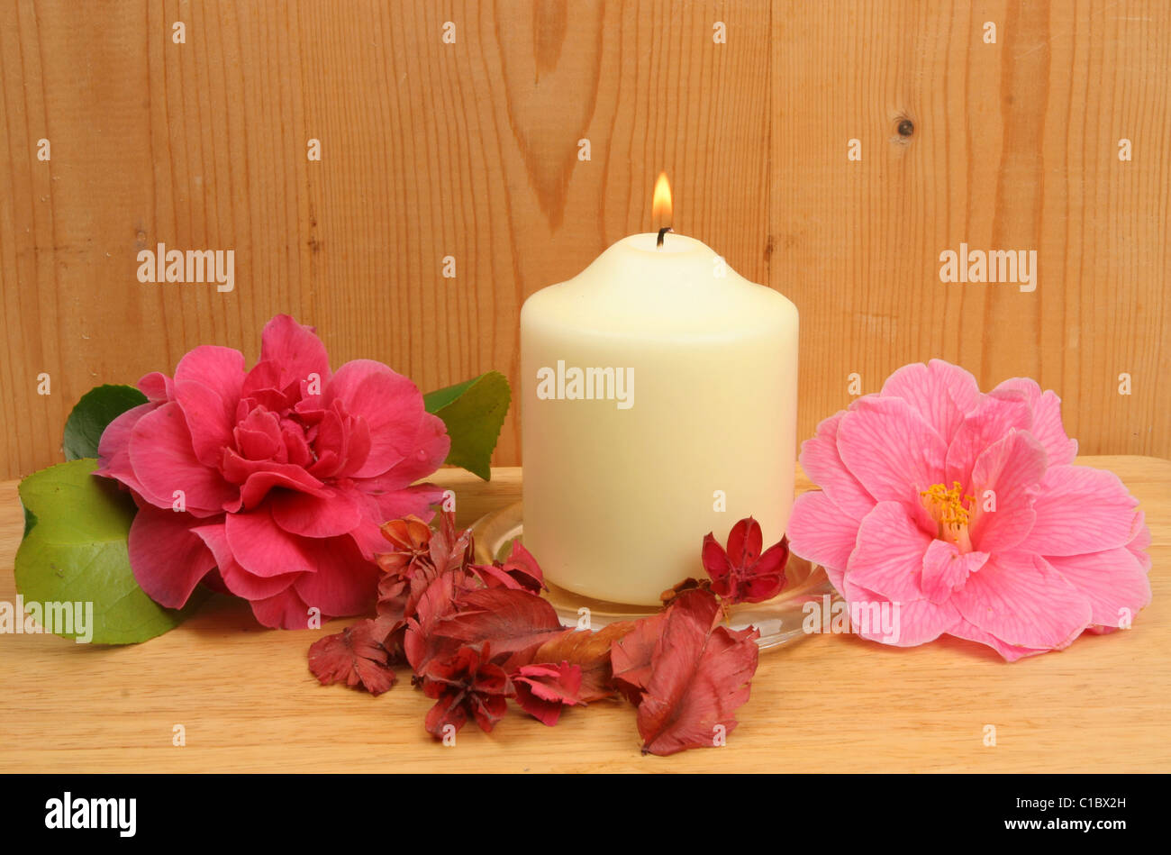 Candle and camellia flowers on a background of pine wood Stock Photo