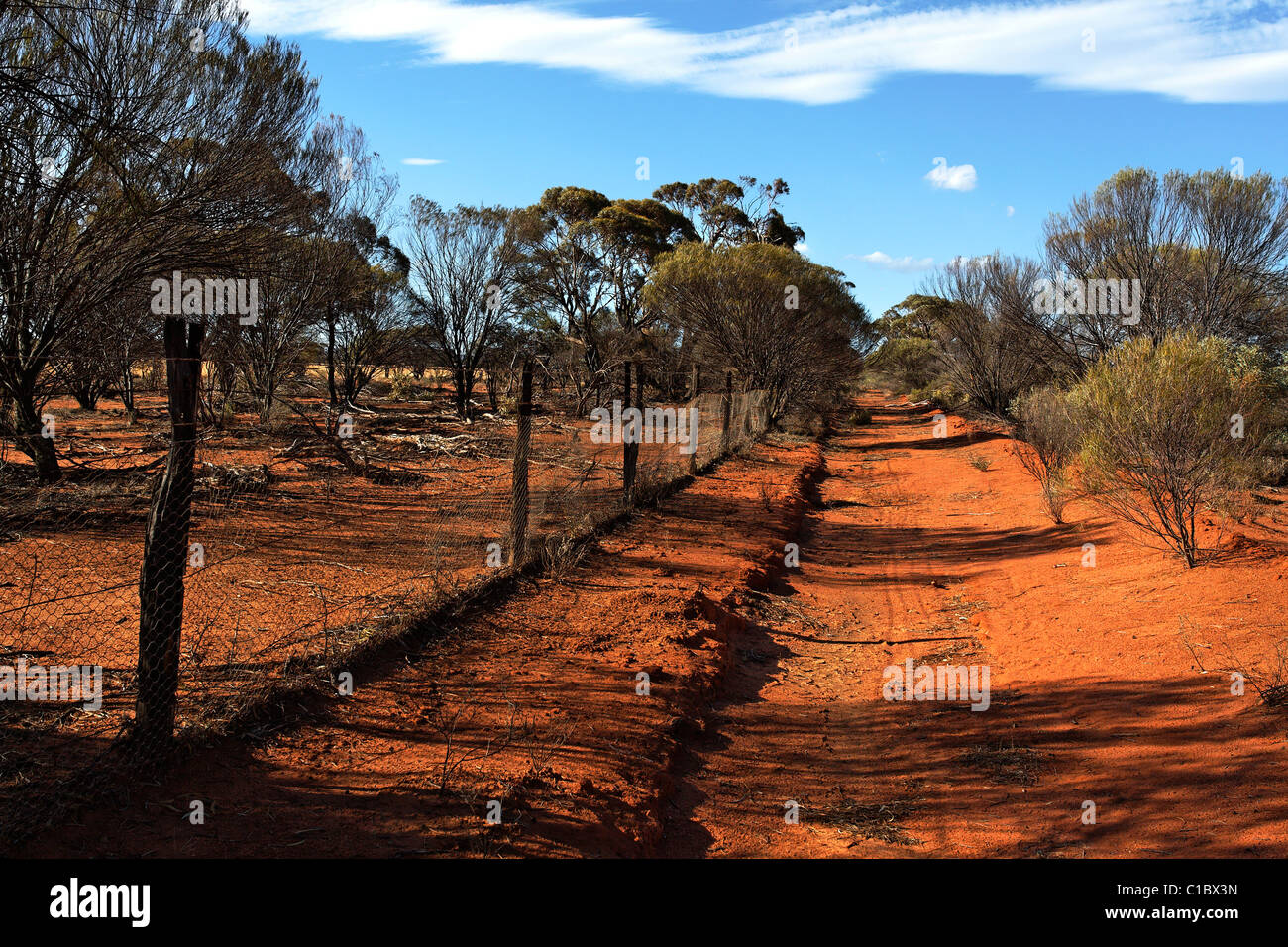 Rabbit Proof Fence, North East Western Australia Stock Photo Alamy