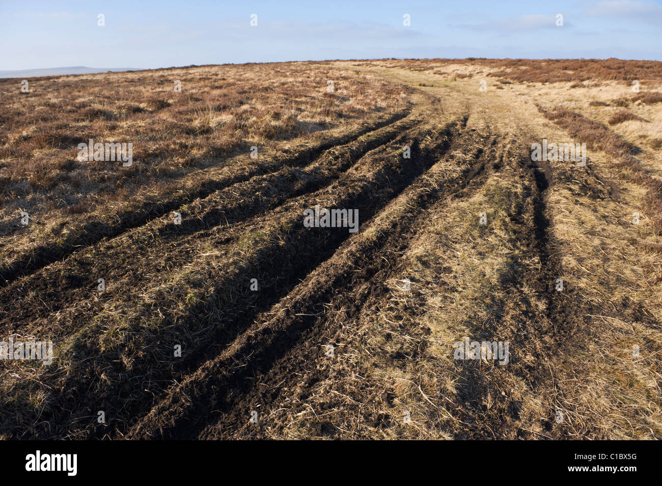 Damage by vehicle traffic to mountain top peat moorland on part of Blaenavon World Heritage Site South Wales UK Stock Photo