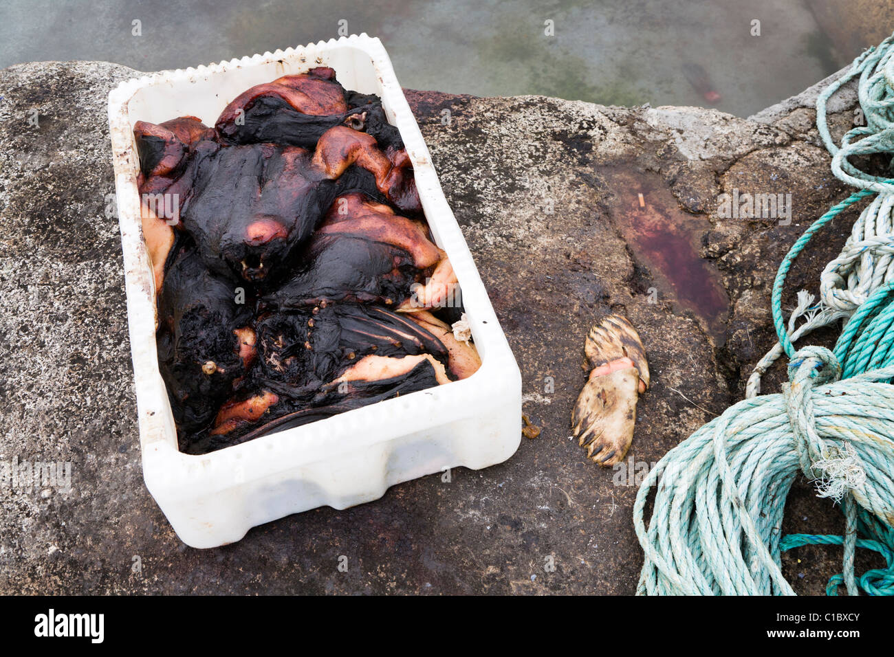 Seal carcasses, Narsaq, South Greenland. Stock Photo