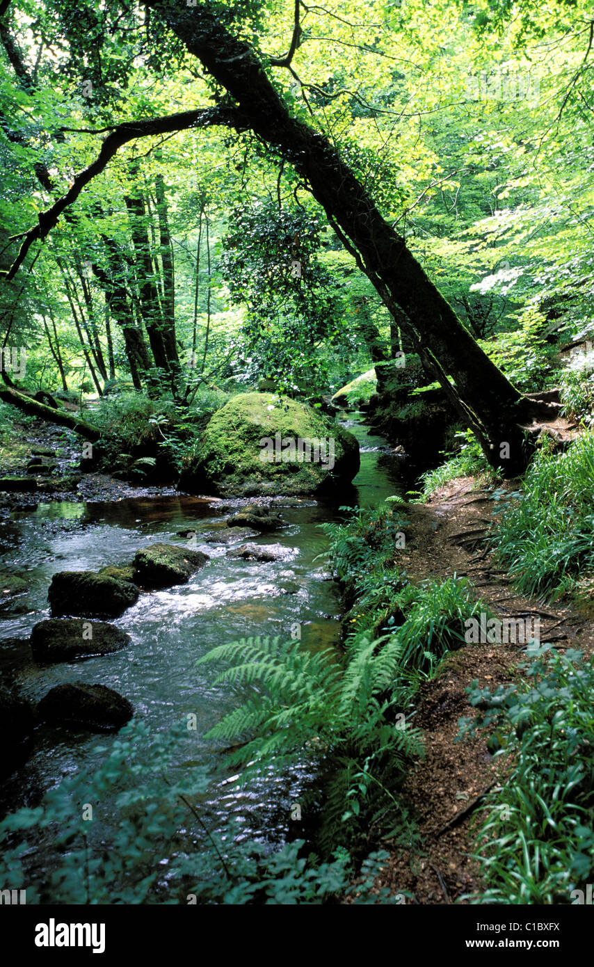 France, Finistere, Huelgoat, rocky chaos, the Silver river in the forest Stock Photo
