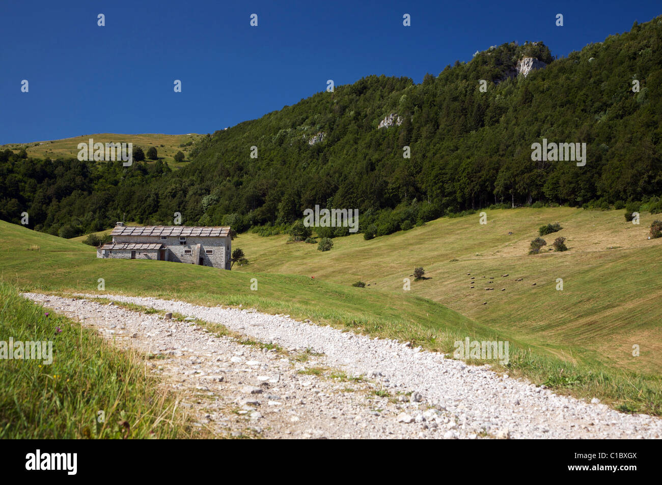 Sega High Resolution Stock Photography And Images Alamy