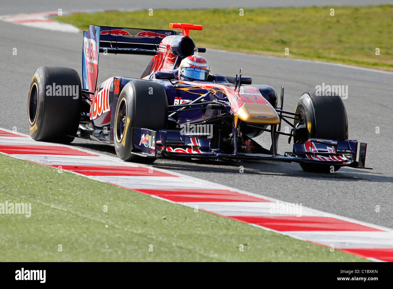 toro rosso 2011