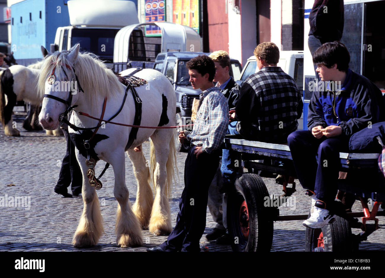 Dublin Horse Fair Hi res Stock Photography And Images Alamy