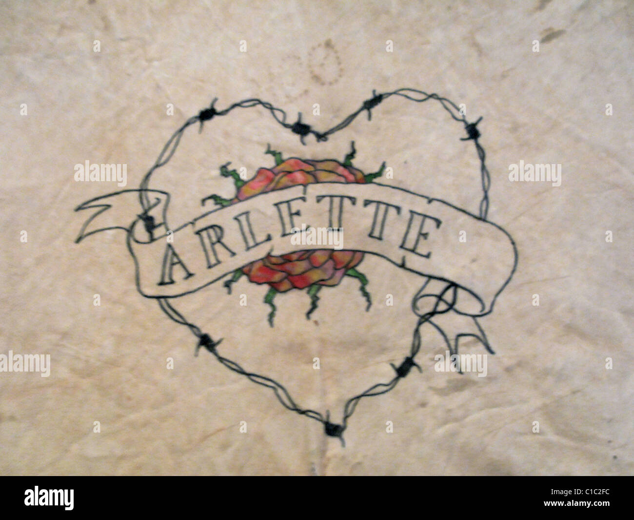 Arlette Tattoo, Wim Delvoye, Modern Art Museum, San Josè, Republic of Costa Rica, Central America Stock Photo